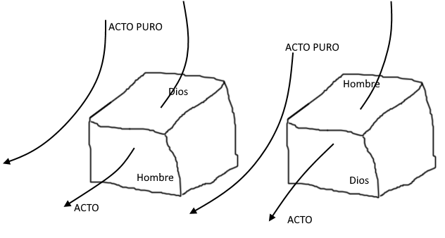 El Acto de Aristóteles y el mío