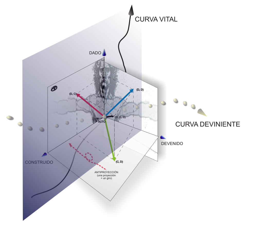 Curvas deviniente y vital